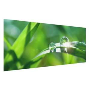 Bild Green Ambiance II ESG Sicherheitsglas - Mehrfarbig - 125 x 50 cm