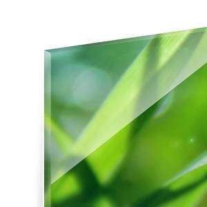 Tableau déco Green Ambiance II Verre de sécurité ESG - Multicolore - 125 x 50 cm