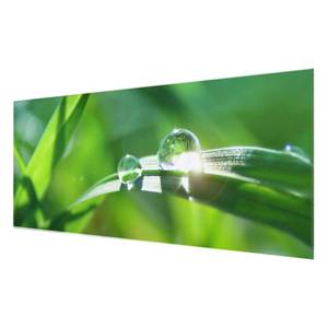 Bild Green Ambiance II ESG Sicherheitsglas - Mehrfarbig - 100 x 40 cm