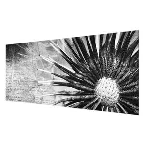 Tableau déco pissenlit noir et blanc Verre de sécurité ESG - Multicolore - 100 x 40 cm