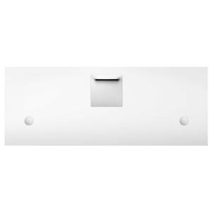 Bild Pusteblume Schwarz & Weiß ESG Sicherheitsglas - Mehrfarbig - 100 x 40 cm