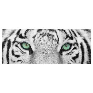 Bild Weißer Tiger ESG Sicherheitsglas - Mehrfarbig - 80 x 30 cm