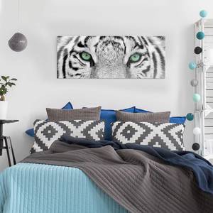 Tableau déco tigre blanc Verre de sécurité ESG - Multicolore - 80 x 30 cm