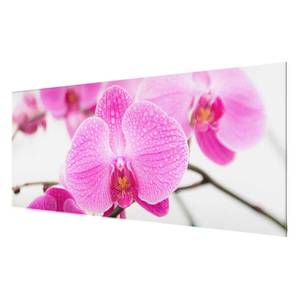 Tableau déco orchidée Verre de sécurité ESG - Multicolore - 80 x 30 cm