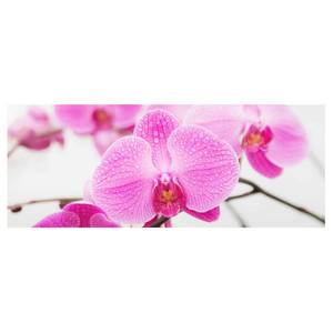 Afbeelding Close Up Orchidee ESG-veiligheidsglas - meerdere kleuren - 125 x 50 cm