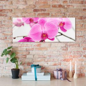 Bild Nahaufnahme Orchidee ESG Sicherheitsglas - Mehrfarbig - 125 x 50 cm