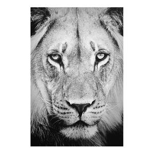 Tableau déco vieux lion Verre de sécurité ESG - Multicolore - 80 x 120 cm