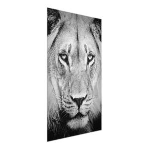 Tableau déco vieux lion Verre de sécurité ESG - Multicolore - 80 x 120 cm