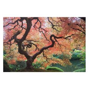 Tableau Japonais Jardin