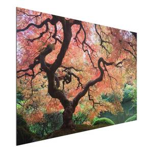Bild Japanischer Garten III Aluminium - Mehrfarbig - 75 x 50 cm