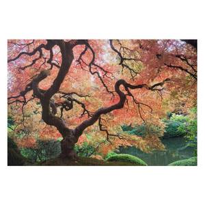Bild Japanischer Garten III Aluminium - Mehrfarbig - 60 x 40 cm