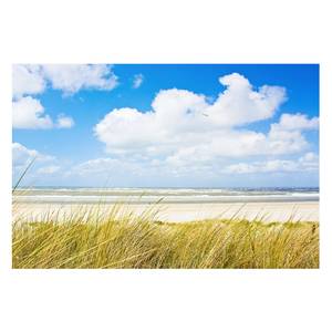 Bild An der Nordseeküste Forex-Hartschaumplatte - Mehrfarbig - 120 x 80 cm