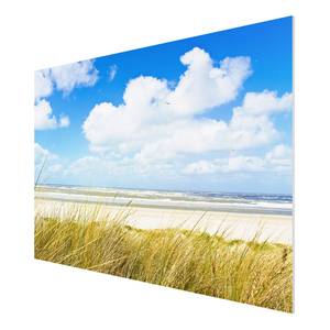 Bild An der Nordseeküste Forex-Hartschaumplatte - Mehrfarbig - 90 x 60 cm