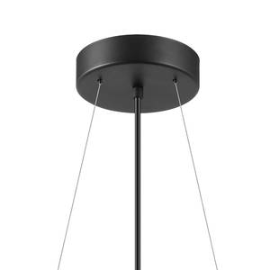 Hanglamp Salvezinas glas/staal - 1 lichtbron - Aantal lichtbronnen: 1