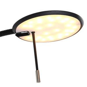 Staande LED-lamp Zenith IV staal - 2 lichtbronnen