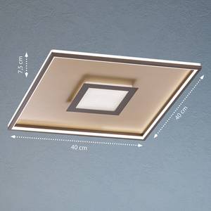 LED-Deckenleuchte Raich II Acryl / Nickel - 1-flammig