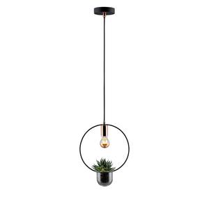 Suspension Tasja Fer - 1 ampoule