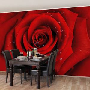 Vliesbehang Rode Roos met Druppels Vliespapier - 432 x 290 cm