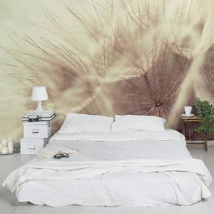 Vliestapete Pusteblumen Blur Vliespapier - Beige - 336 x 225 cm