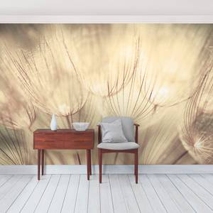 Vliestapete Pusteblumen Sepia Vliespapier - Beige - 384 x 255 cm