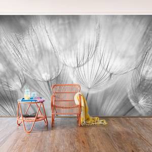 Vliesbehang Paardenbloem zwart-wit Vliespapier - 384 x 255 cm