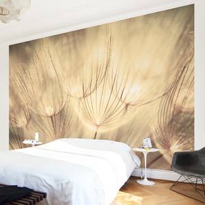 Vliesbehang Paardenbloem sepia Vliespapier - 432 x 290 cm