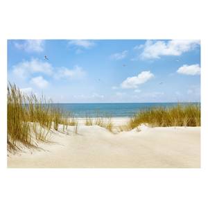 Vliestapete Strand an der Nordsee Vliespapier - Mehrfarbig - 336 x 225 cm