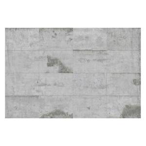 Vliestapete Große Betonplatten Vliespapier - Hellgrau - 432 x 290 cm