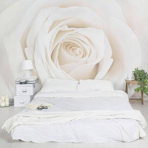 Vliesbehang Pretty White Rose Vliespapier - 384 x 255 cm