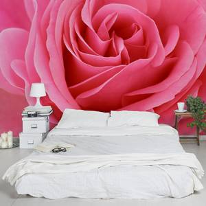 Vliestapete Lustful Pink Rose Vliespapier - Pink - 432 x 290 cm