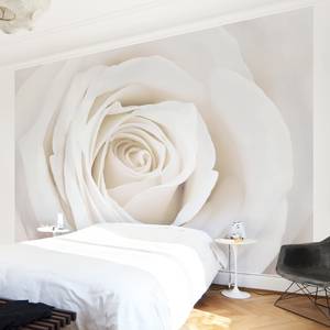 Vliestapete Pretty White Rose Vliespapier - Weiß - 336 x 225 cm