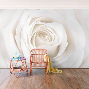 Vliestapete Pretty White Rose Vliespapier - Weiß - 432 x 290 cm