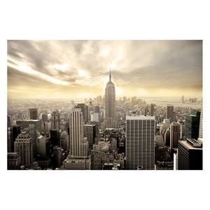 Vliestapete Manhattan Dawn Vliespapier - Beige - 288 x 190 cm