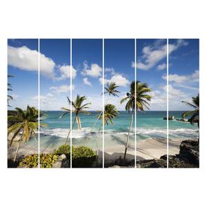 Schiebegardinen Barbados (6er-Set) Microfaser - Wandmontage