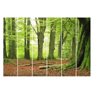 Schiebegardinen Beech Trees (6er-Set) Microfaser - Wandmontage