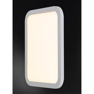 LED-wandlamp Reev polycarbonaat/aluminium - 1 lichtbron