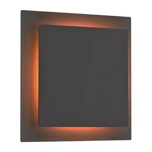 LED-wandlamp Fey I ijzer - 1 lichtbron - Zwart