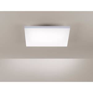 LED-plafondlamp Frameless IV acryl/ijzer - 1 lichtbron