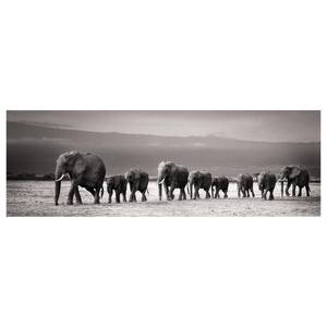 Bild Elefantenparade Holzwerkstoff - Schwarz / Weiß