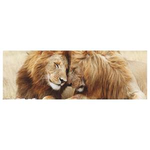 Tableau déco Lions amoureux Matériau dérivé du bois - Marron