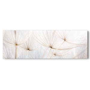 Bild Pusteblumen Romantik Holzwerkstoff - Weiß