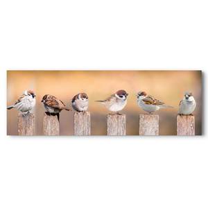 Afbeelding Vogelfamilie verwerkt hout - meerdere kleuren