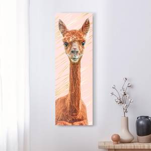 Afbeelding Alpaca verwerkt hout - meerdere kleuren