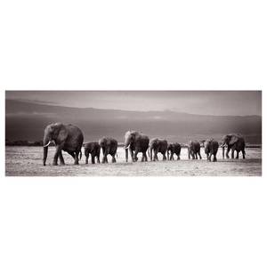 Bild Elefantenmarsch Holzwerkstoff - Schwarz / Weiß