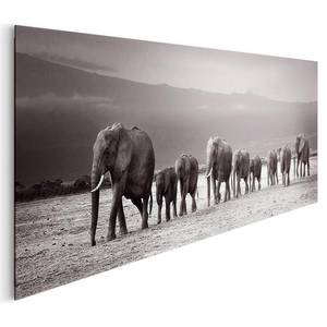 Bild Elefantenmarsch Holzwerkstoff - Schwarz / Weiß