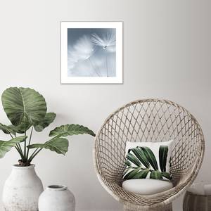 Bild Pusteblumen Holzwerkstoff - Weiß / Grau