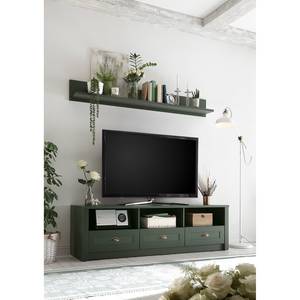 Tv-meubel Beauville II mosgroen/goudkleurig