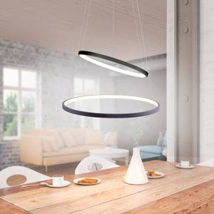 LED-hanglamp Circle III acrylglas/ijzer - 2 lichtbronnen