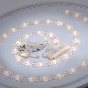 LED-Deckenleuchte Lavinia II Acrylglas / Metall - 1-flammig