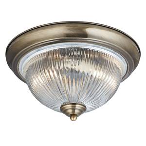 Plafondlamp Flush I transparant glas / staal - 2 lichtbronnen